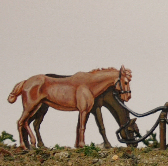 Two unsaddled horses - Glorious Empires-Historical Miniatures  